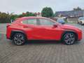 Lexus UX 250h (E-FOUR) Luxury Line Rot - thumbnail 5