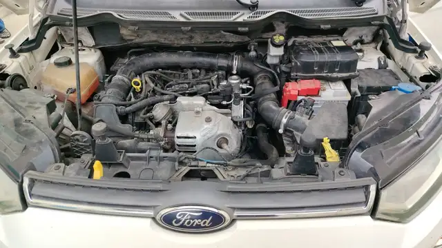 Ford Ecosport view 15