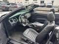Ford Mustang 3.7 V6 Cabrio *Dach NEU & wenig KM* Schwarz - thumbnail 13