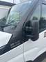Iveco Daily 35S14 Kühlkoffer Carrier Xarios 500,Klima ,Automatikgetriebe Weiß - thumbnail 5