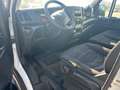 Iveco Daily 35S14 Kühlkoffer Carrier Xarios 500,Klima ,Automatikgetriebe Weiß - thumbnail 22