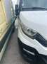 Iveco Daily 35S14 Kühlkoffer Carrier Xarios 500,Klima ,Automatikgetriebe Weiß - thumbnail 6