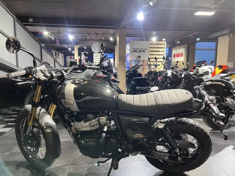 Royal Enfield Bear 650 Golden - foto 4