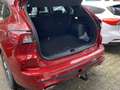 Ford Kuga ST-Line Bluetooth Head Up Display Navi LED Rouge - thumbnail 13