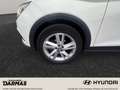 SEAT Arona Arona 1,0l TSI Automatik Scheckheft - thumbnail 10