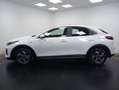 Kia XCeed 1.6 MHEV IMT DRIVE 100KW (136CV) Bianco - thumbnail 7