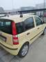 Fiat Panda 1.2 Dynamic GPL Gelb - thumbnail 5