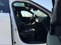 Land Rover Range Rover Velar D300 DYNAMIC SE AWD *1. Hand Weiß - thumbnail 8