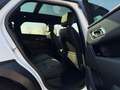Land Rover Range Rover Velar D300 DYNAMIC SE AWD *1. Hand Weiß - thumbnail 9