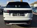 Land Rover Range Rover Velar D300 DYNAMIC SE AWD *1. Hand Weiß - thumbnail 4