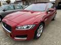 Jaguar XF 3.0d Portfolio 150.DKM ORG NL-AUTO DEALER ONDERHOU Rouge - thumbnail 1