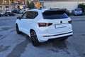SEAT Ateca Ateca 1.5 EcoTSI DSG FR Bianco - thumbnail 7
