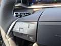 Opel Grandland Electric GS 73 kWh *SZH*LRH*NAVI*360°K Schwarz - thumbnail 14