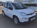 Fiat Panda MY24 1.0 Klima PDC Citypaket Weiß - thumbnail 2
