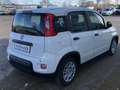 Fiat Panda MY24 1.0 Klima PDC Citypaket Weiß - thumbnail 3