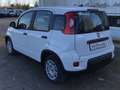 Fiat Panda MY24 1.0 Klima PDC Citypaket Weiß - thumbnail 4