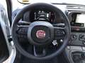 Fiat Panda MY24 1.0 Klima PDC Citypaket Weiß - thumbnail 10