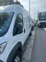 Fiat Ducato Maxi L4 - thumbnail 19