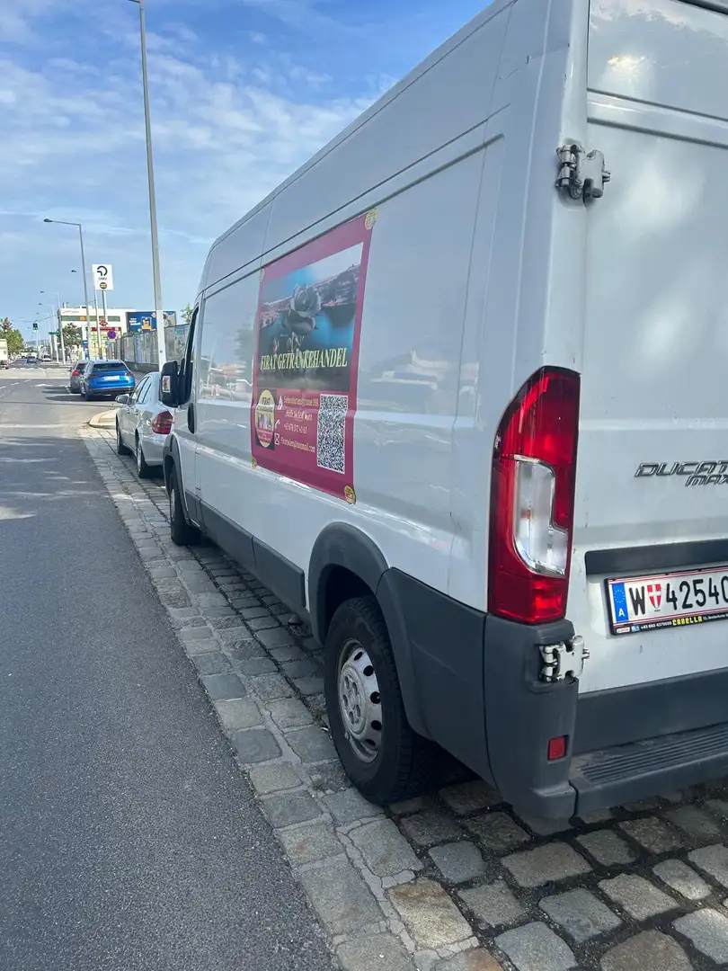 Fiat Ducato Maxi L4 - 2