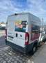 Fiat Ducato Maxi L4 - thumbnail 7
