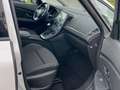 Renault Grand Scenic BUSINESS EDITION TCE140 GPF Gris - thumbnail 11