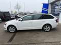Skoda Octavia Soleil Blanc - thumbnail 3