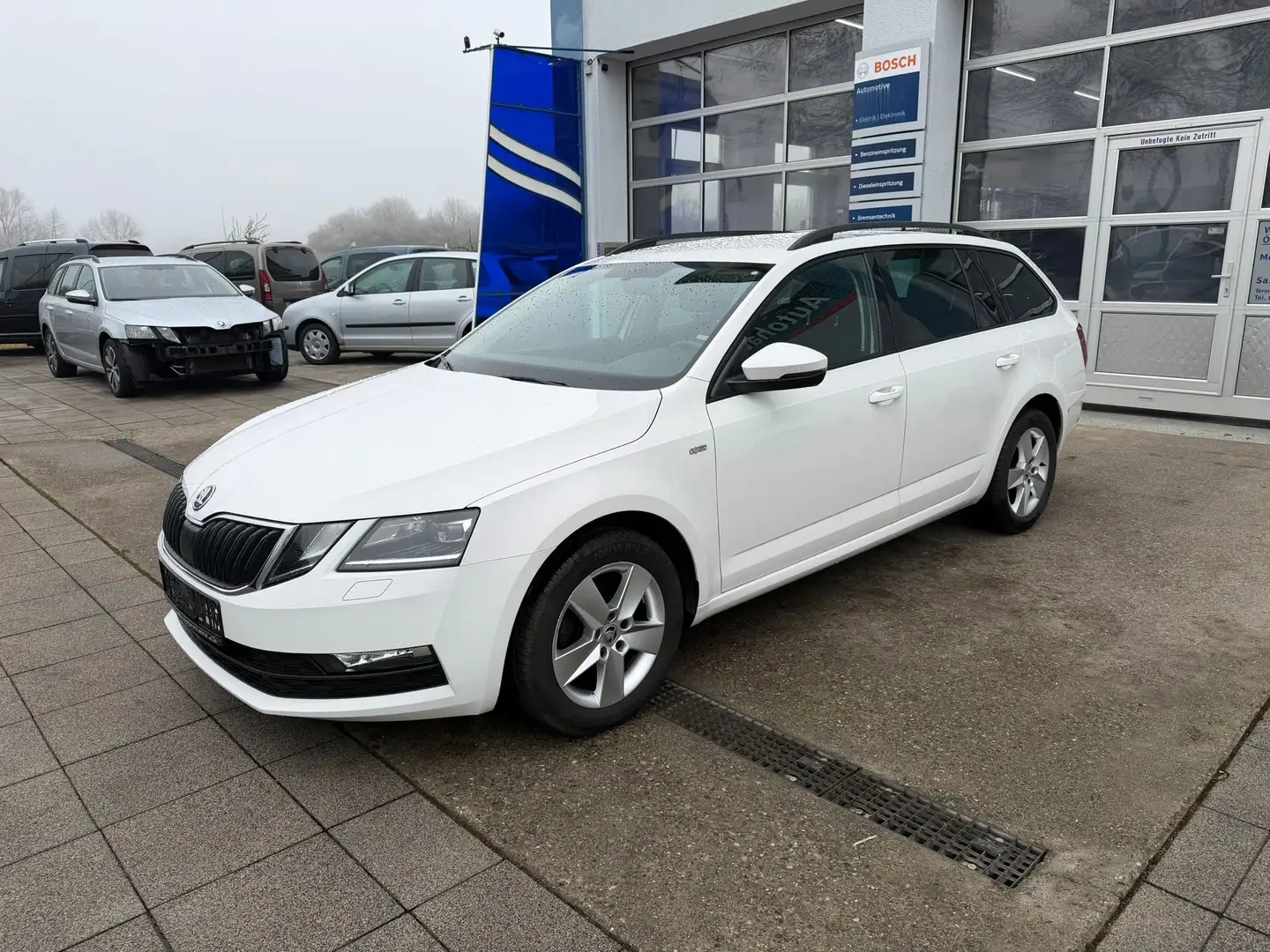 Skoda Octavia Soleil Blanc - 1