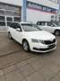 Skoda Octavia Soleil Blanc - thumbnail 8