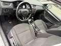 Skoda Octavia Soleil Blanc - thumbnail 11