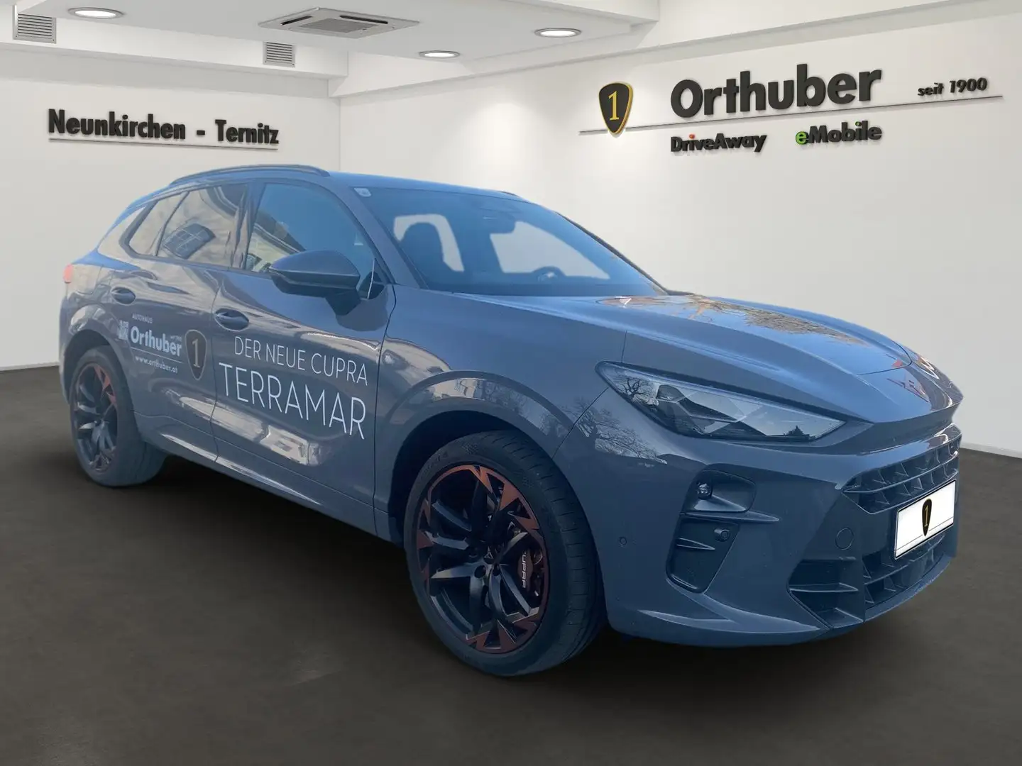 CUPRA Terramar VZ 2.0 TSI 265 PS DSG 4Drive Grau - 2