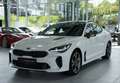 Kia Stinger GT 4WD *1.Hand *Pano *H&K *Memory *H-UP Weiß - thumbnail 5