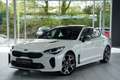 Kia Stinger GT 4WD *1.Hand *Pano *H&K *Memory *H-UP Weiß - thumbnail 1