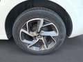 Citroen C-Elysée Shine Blanco - thumbnail 14
