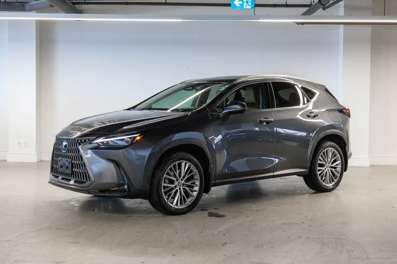 2024 Lexus NX