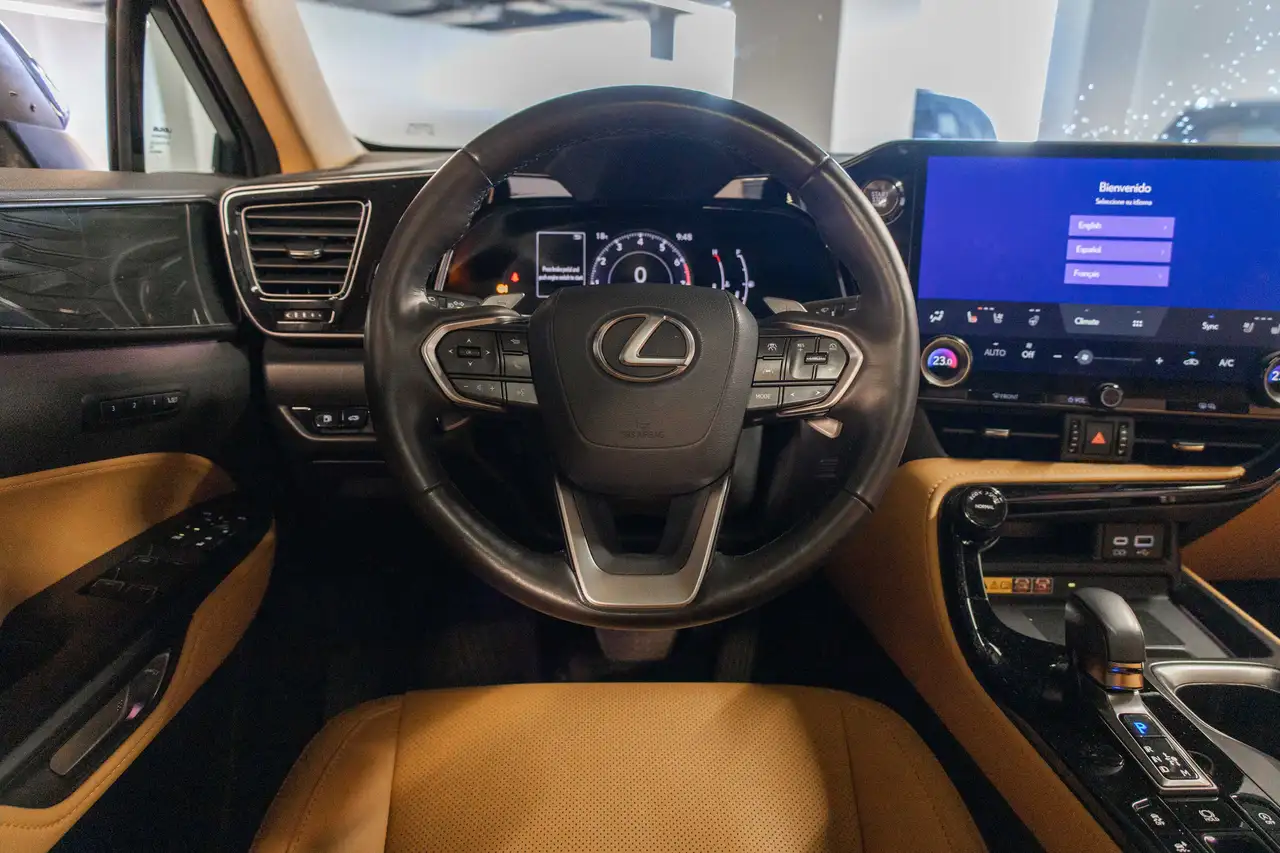 Lexus NX photo Lexus NX