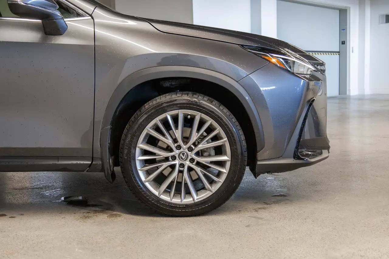 Lexus NX photo Lexus NX
