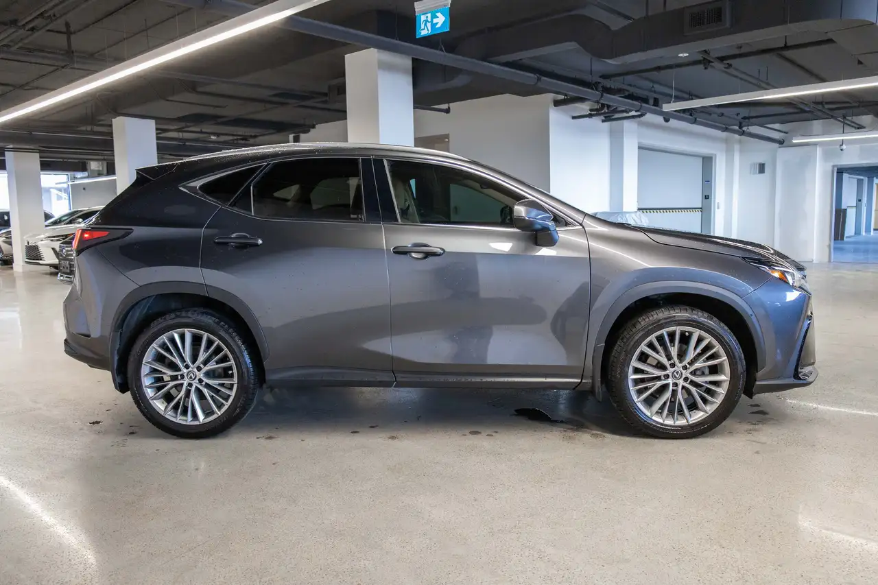 Lexus NX photo Lexus NX