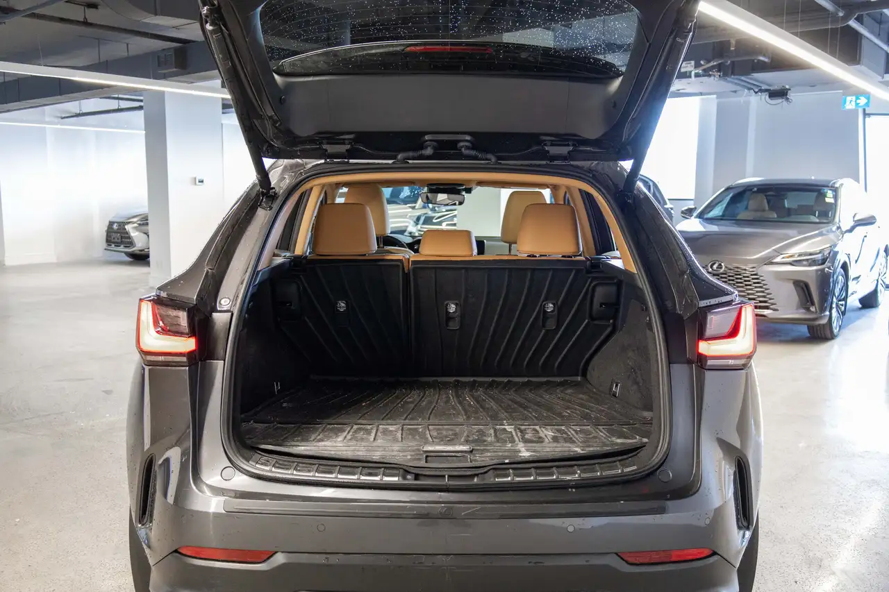 Lexus NX photo Lexus NX