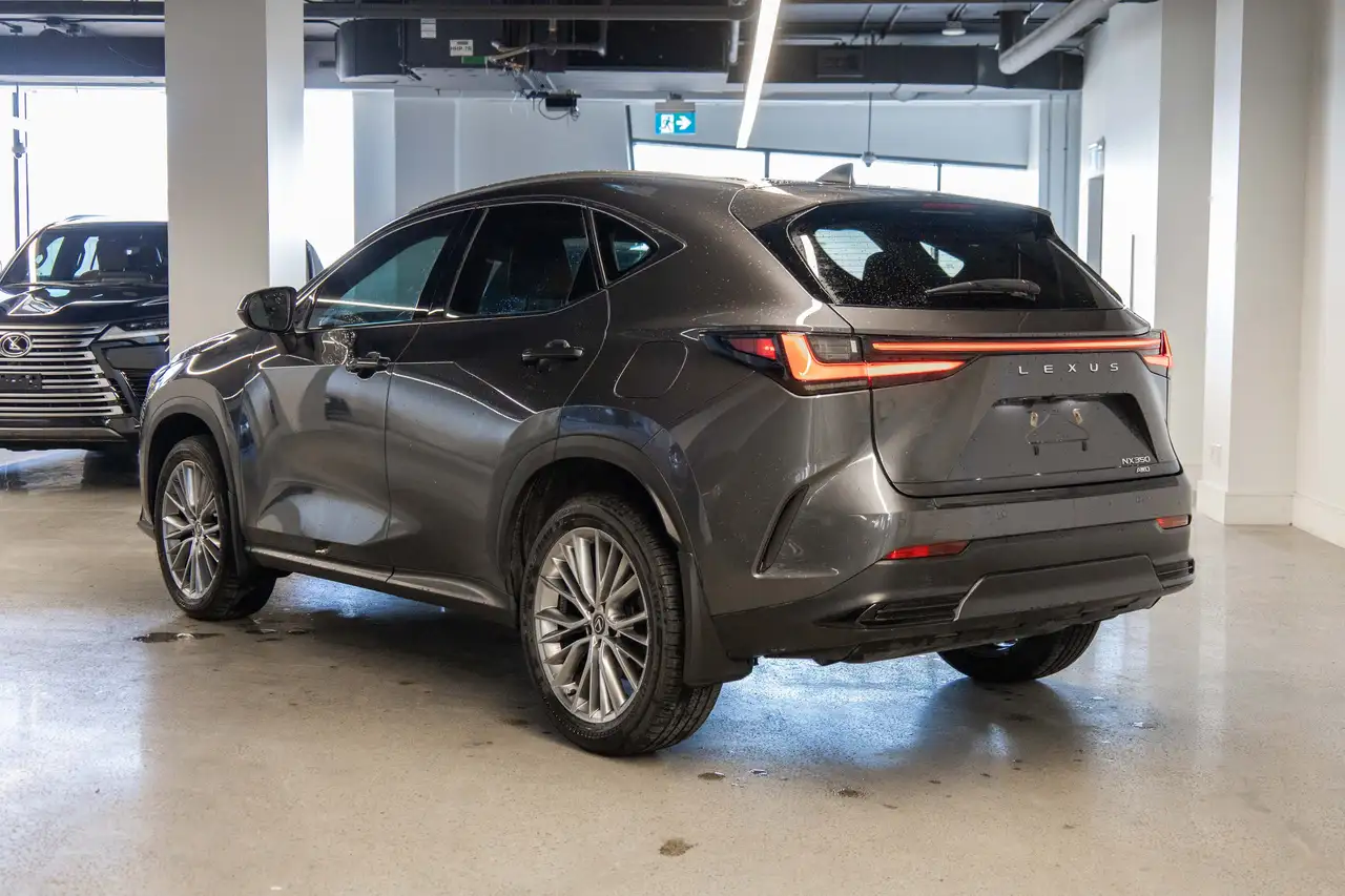 Lexus NX photo Lexus NX