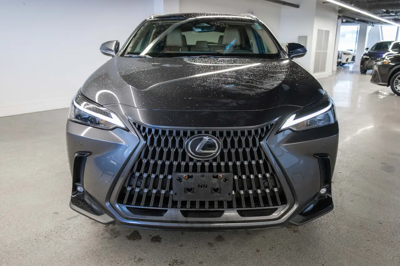 Lexus NX photo Lexus NX