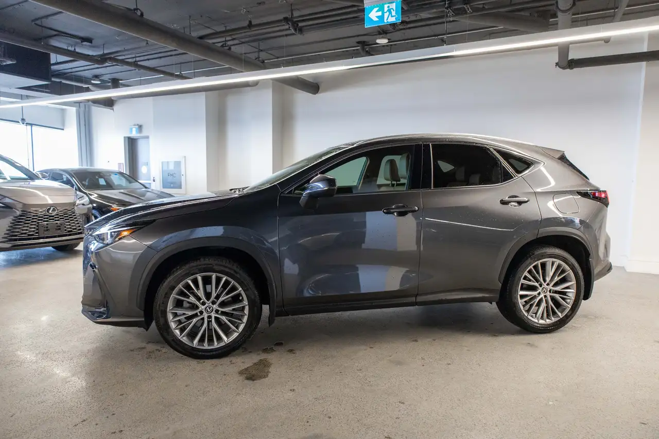 Lexus NX photo Lexus NX
