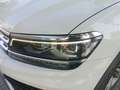 Volkswagen Tiguan 2.0TDI Sport 4Motion DSG 110kW Blanco - thumbnail 19