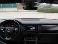 Skoda Kodiaq 1ª serie 2.0 TSI 4x4 DSG 7 posti Sportline Gris - thumbnail 8