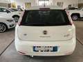 Fiat Grande Punto 5p 1.2 Lounge 5 Porte Friz E Distr Nuove - thumbnail 9