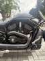 Harley-Davidson Night Rod VRSCDX SPECIAL ABS - thumbnail 15