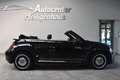 Volkswagen Beetle 2.0 TDI Cabrio Design Navi Tempo PDC Schwarz - thumbnail 11