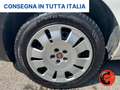 Fiat Doblo 1.4 95 CV CARGO MAXI GPL BENZINA(PL-TN-L2H1)CLIMA Bianco - thumbnail 32