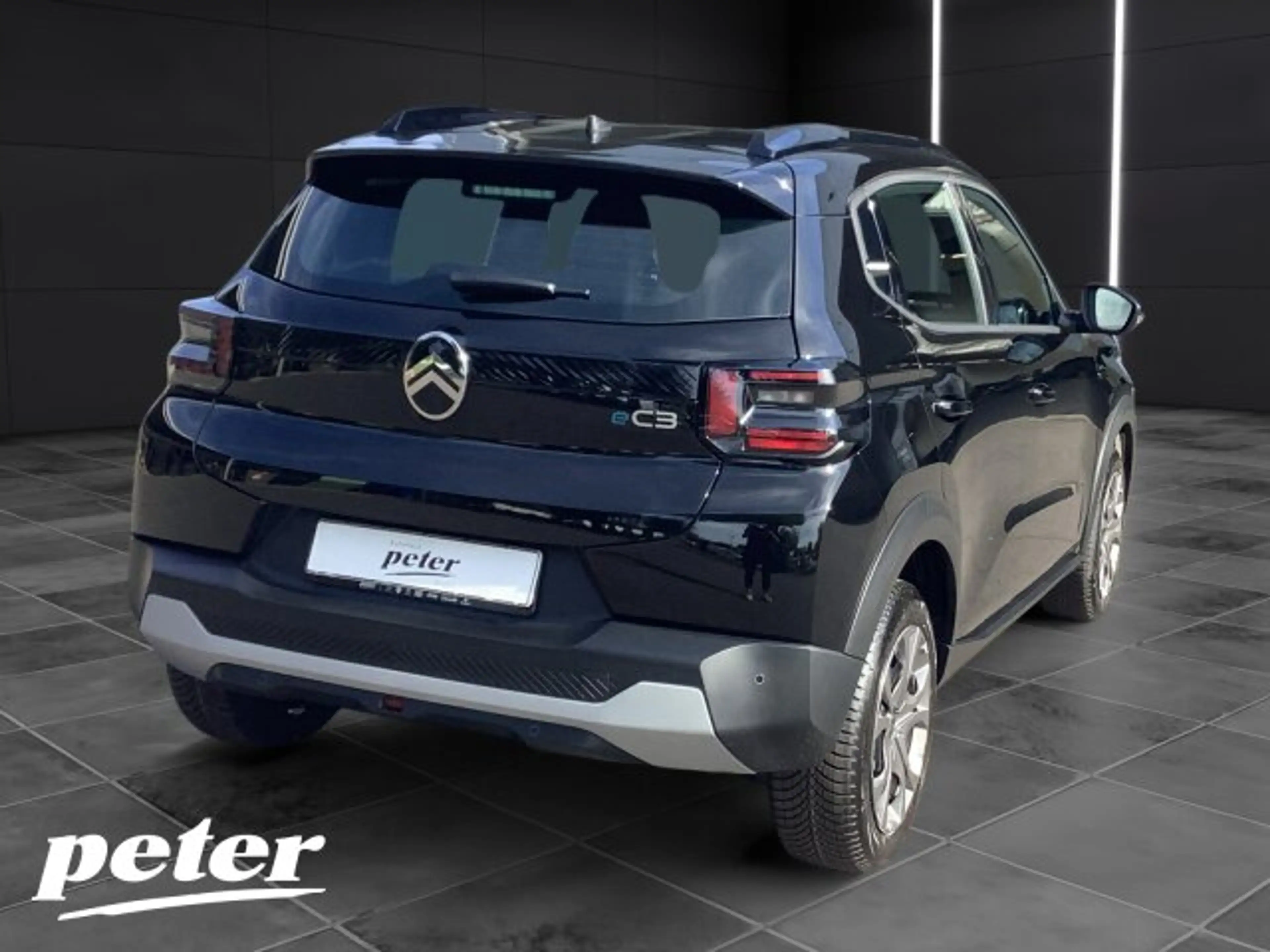 Citroen E-C3 ë-C3 Plus 113 Urban-Range +11-kW-OBC+Allwetter+ — photo 4