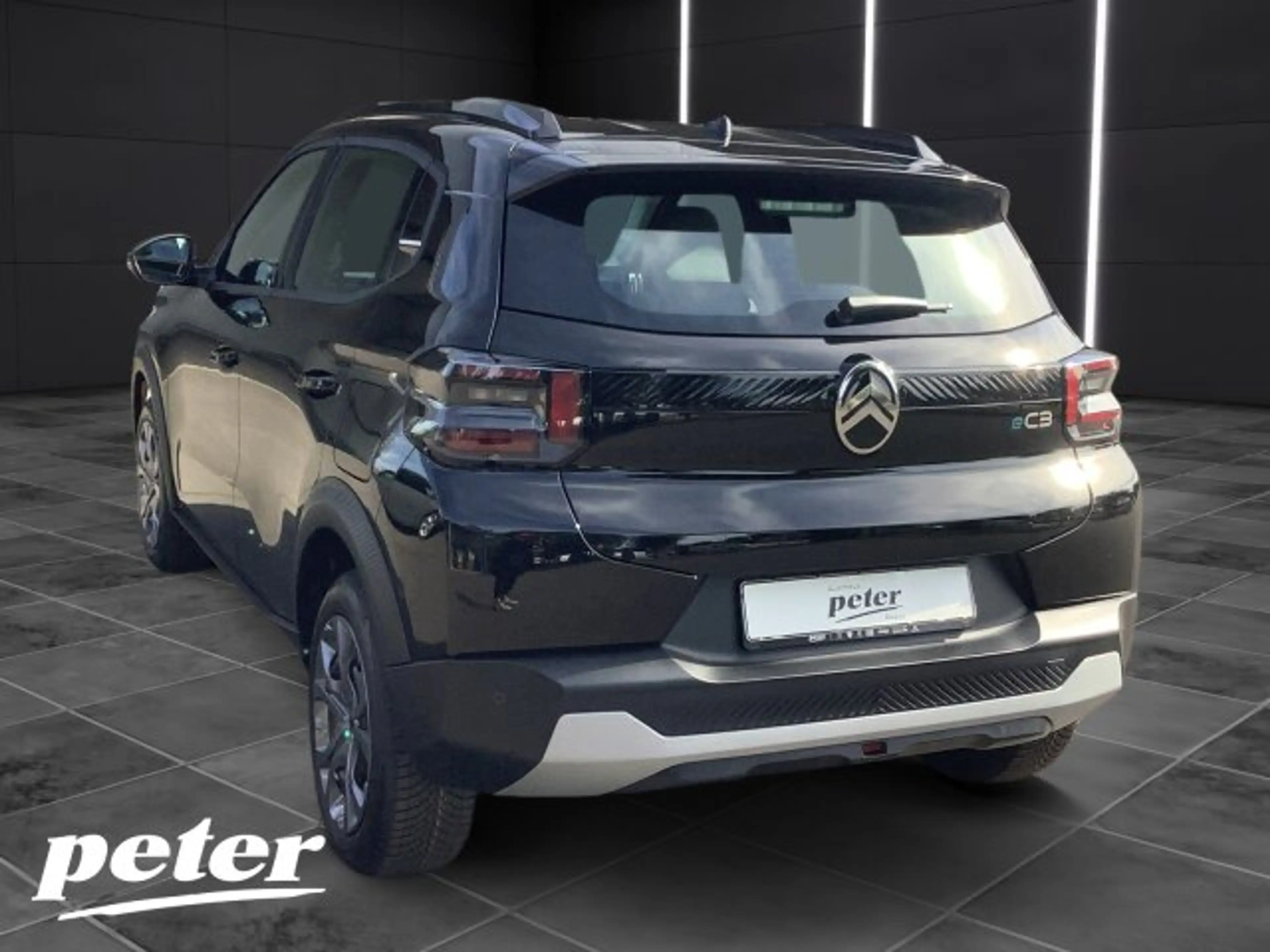 Citroen E-C3 ë-C3 Plus 113 Urban-Range +11-kW-OBC+Allwetter+ — photo 3
