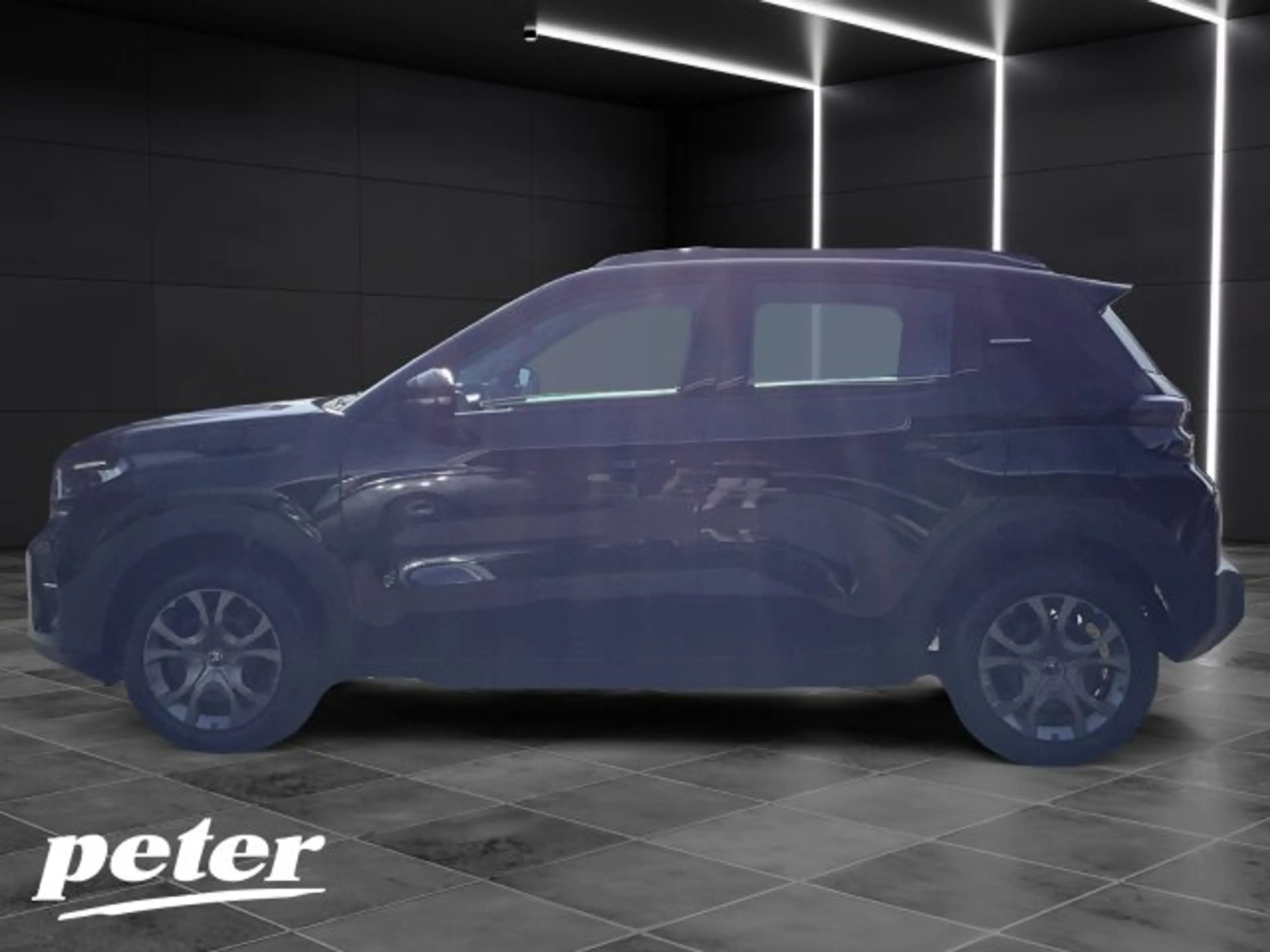 Citroen E-C3 ë-C3 Plus 113 Urban-Range +11-kW-OBC+Allwetter+ — photo 2